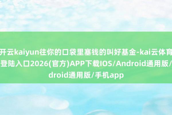 开云kaiyun往你的口袋里塞钱的叫好基金-kai云体育网页app登陆入口2026(官方)APP下载IOS/Android通用版/手机app